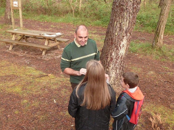 Chasse au trésor des forestiers onf (2)