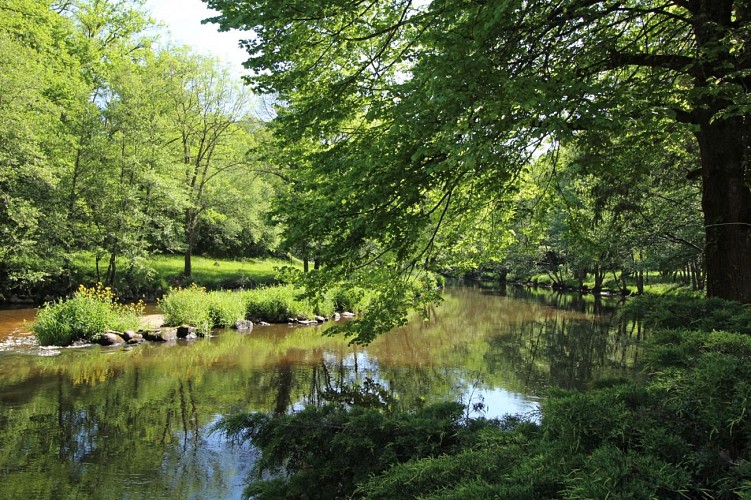 Trois ânes et un moulin