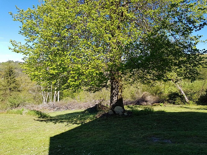 Location Gîtes de France - Réf : 19G4101