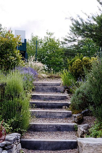 La vigne du causse_7