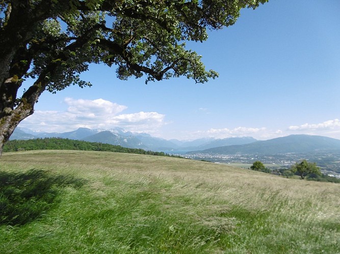 Aussichtspunkt : Ferrières