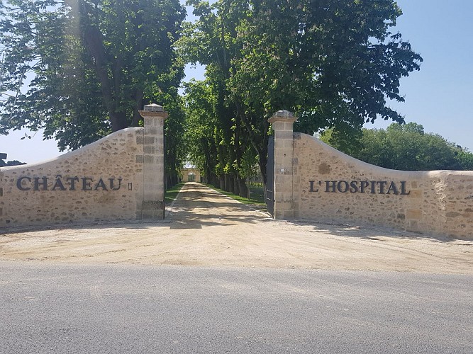 Chateau-Hospital-allee