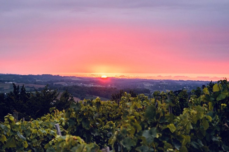 Domaine Nomboly Traydou