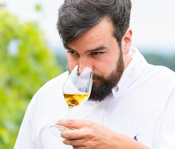 Domaine Nomboly Traydou dégustation