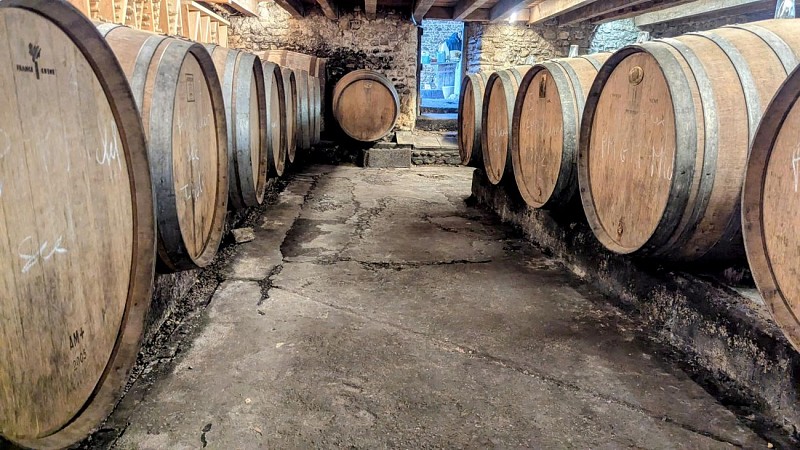 Domaine Nomboly Traydou monein vignoble jurancon barriques et chai