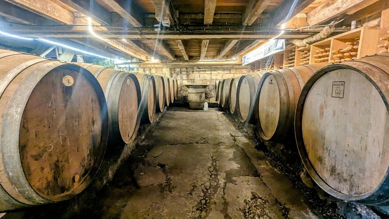 Domaine Nomboly Traydou monein vignoble jurancon chai barriques