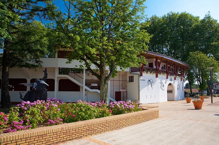 Arènes-Clin d'Oeil Photos