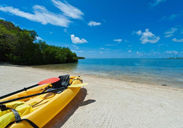 Eco Tour a Key West: immersione & giro in Kayak