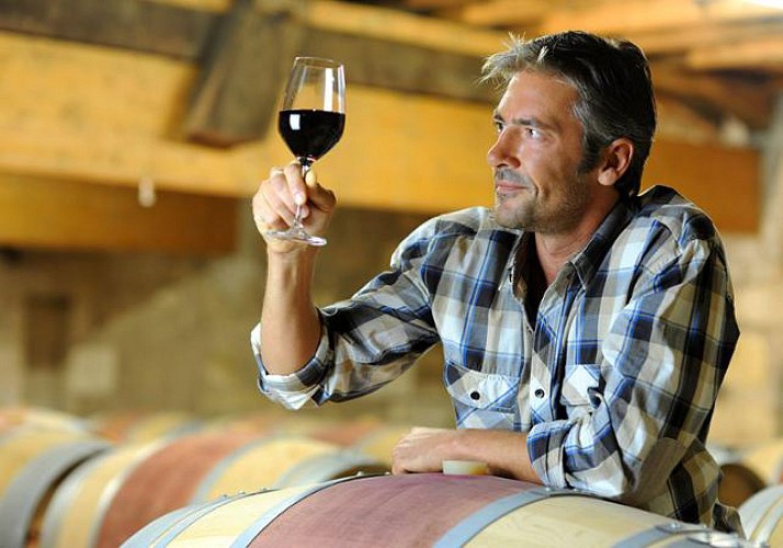 Die Highlights der Toskana an einem Tag inklusive Mittagessen und Verkostung italienischer Weine