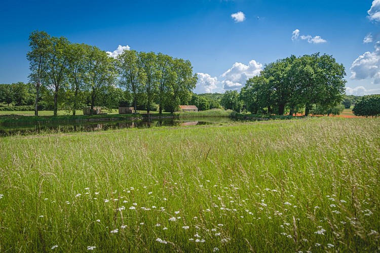 Balade du Domaine