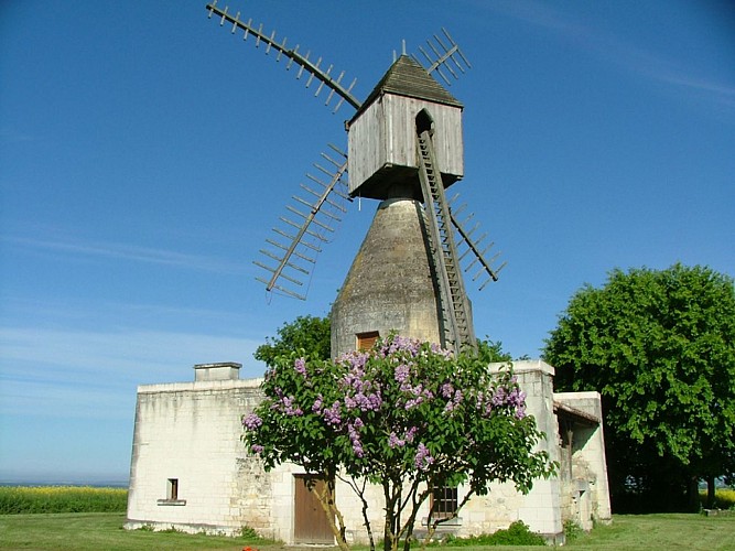 Chalais-Moulin-Puy--d'Ardanne-4