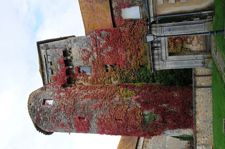 Site de la Maison-Dieu