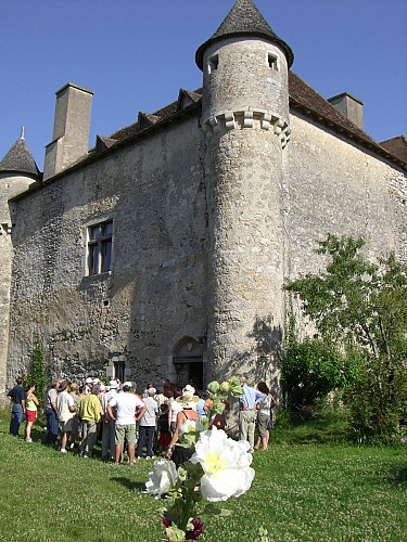Château de Pruniers