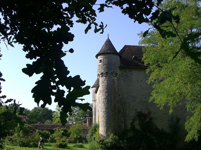 Château de Pruniers - Pindray 