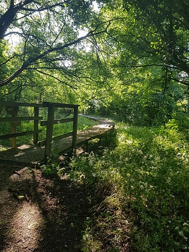 Jardins de La Clouère