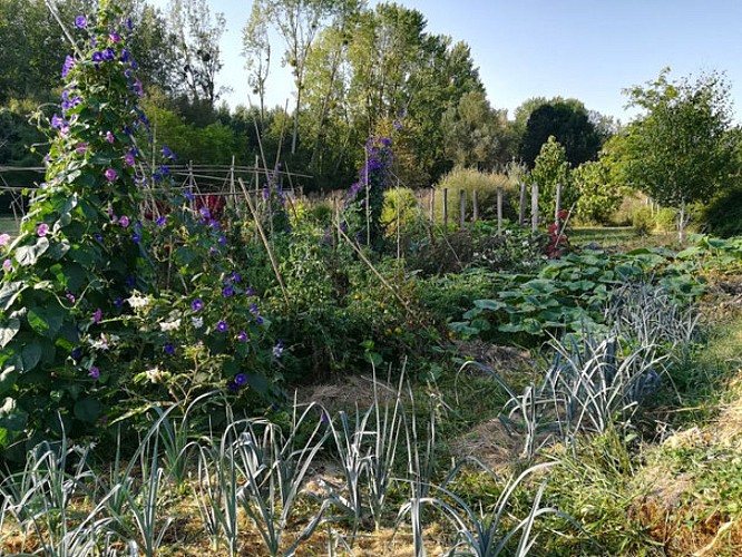 table-de-jardin-sous-un-arbre-jardin-du-moulin-cheneche