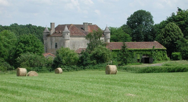 vue sur le château de Pruniers 