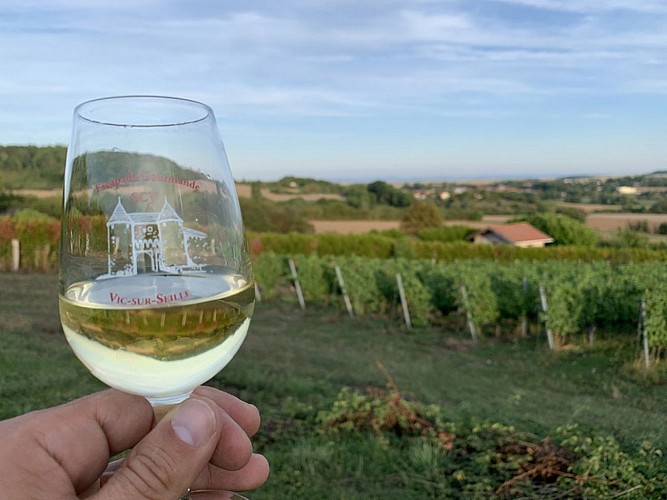 Domaine Dietrich Girardot