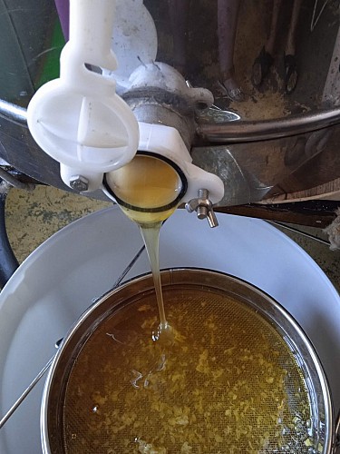 Apiculteur Piquard François