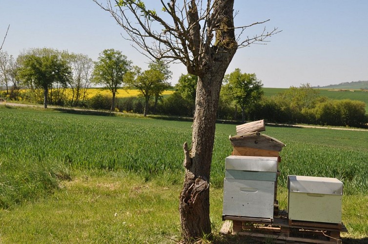 Apiculteur Piquard François