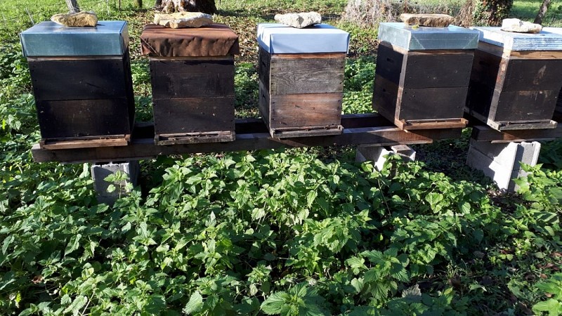 Apiculteur Rucher du Pévange