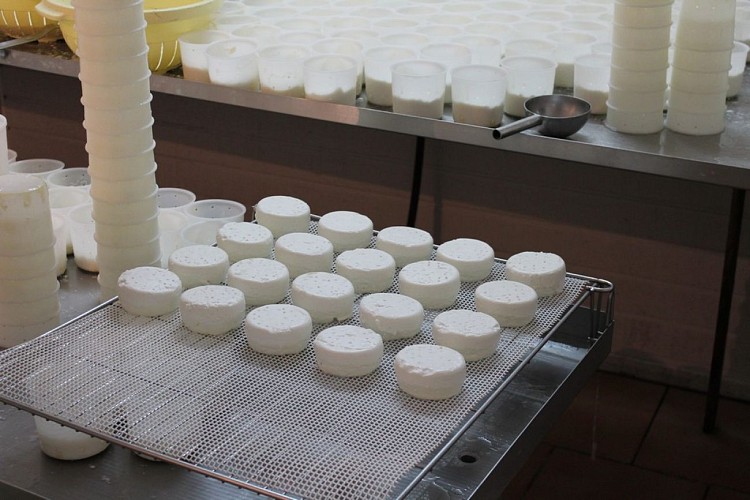Fromagerie - ferme des Bigoudis