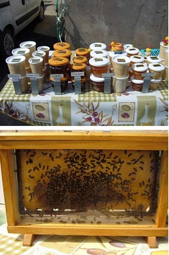 Apiculteur Michel Hocquel