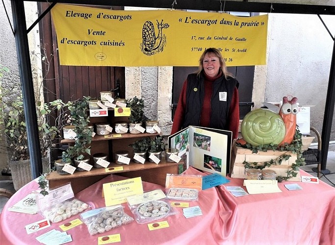 L'escargot dans la prairie
