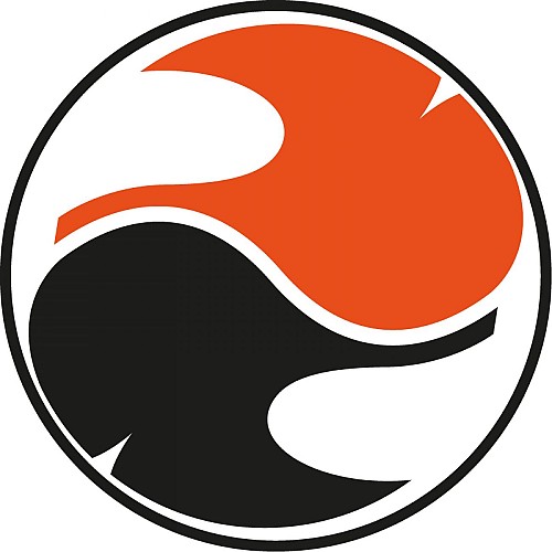 Assonances tai chi chuan