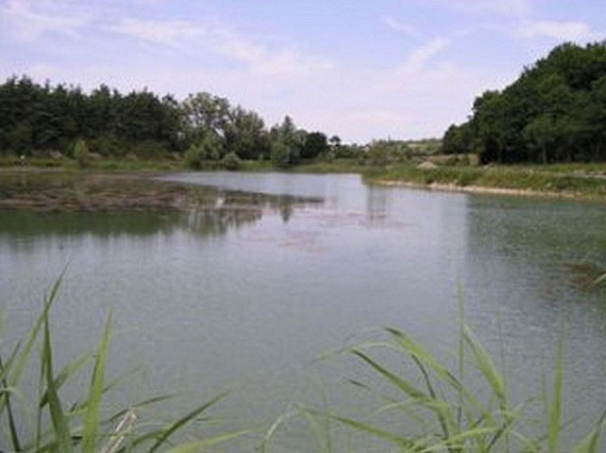 Association de pêche de Château-Salins