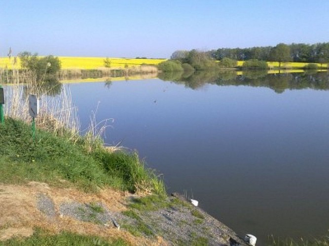 Association de pêche la gaule