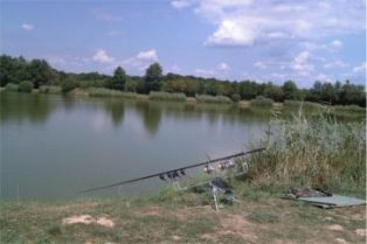 Association de pêche la gaule