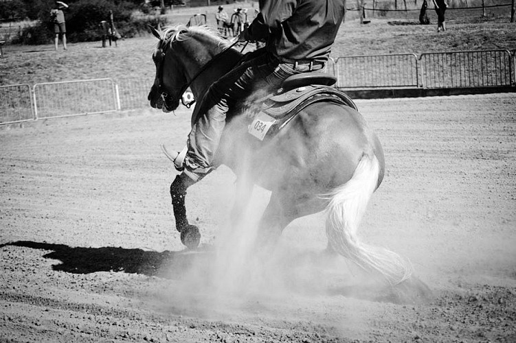 Centre de loisirs équestre Enbraye Farm