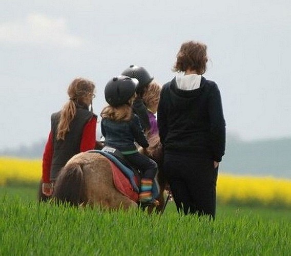 Centre de loisirs équestre Enbraye Farm