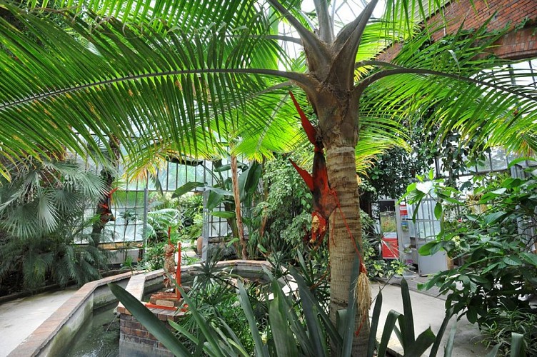 Kinderspeeltuin - Botanische Tuinen van Metz