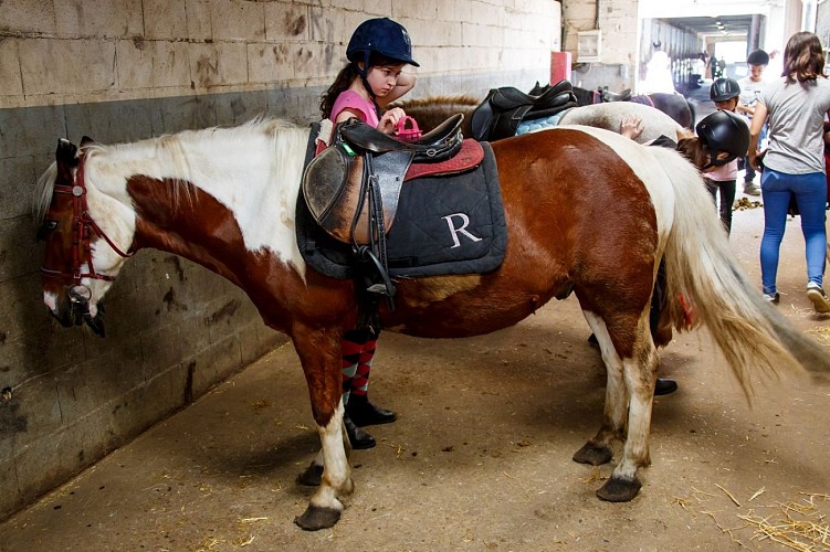 Centre équestre de Thionville et Cattenom