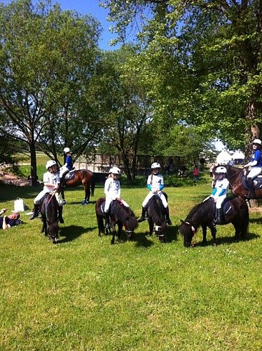 Centre équestre pole hippique de Yutz
