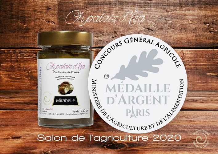 2020_HAG-oh palaisdisa-c°Isa AMISTADI