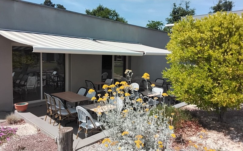 8e1a0026-d7b4-4998-aae5-81709472d8ba.JPG_3