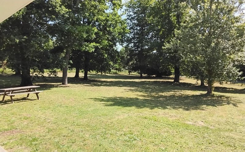 ae7ba5a3-1f5d-40f6-a786-5662056468da.JPG_7