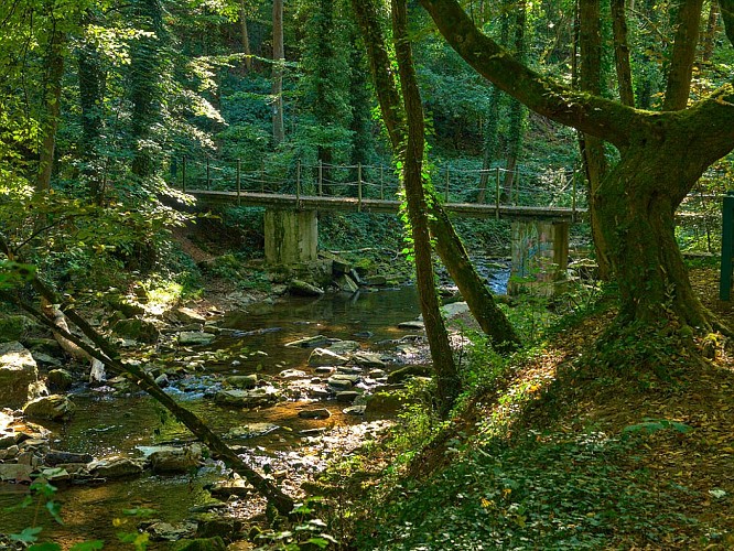 Ruisseau de Montenach