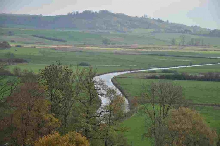 Vallée de la Seille et prés salés de Marsal