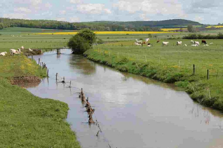 Vallée de la Seille et prés salés de Marsal