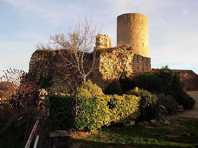 Château Comtal d'Aurignac