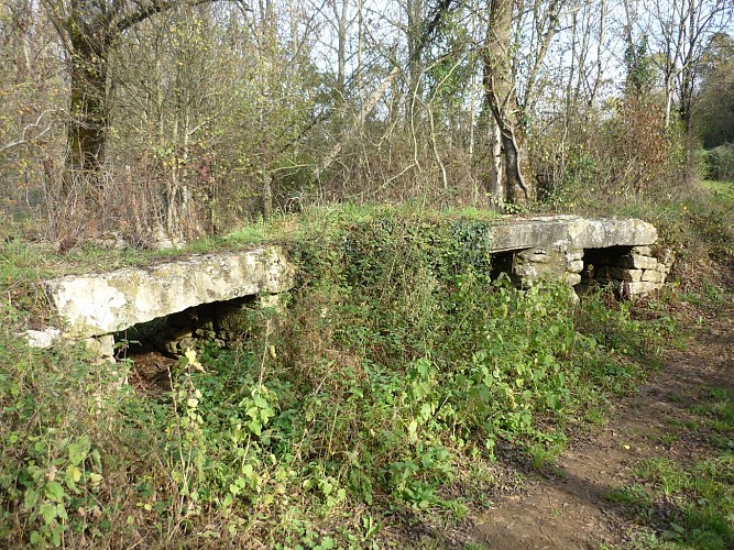 GUE DU LAMBON (OTNMP - 2011)