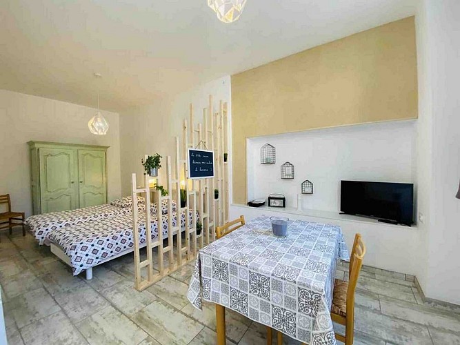 Gite la chtite maison bearnaise arthez de bearn©demol (1)