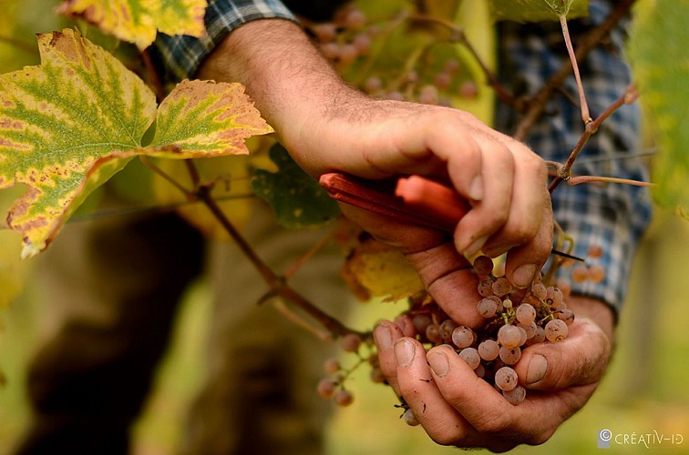 Aire de camping-car- Stationnement - Domaine Latapy