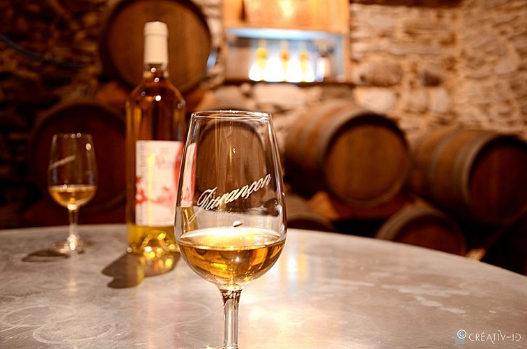 Aire de camping-car- Stationnement - Domaine Latapy