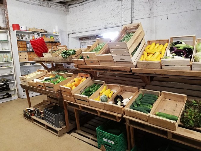 ferme des luys Serres Castet Tourisme nord béarn cph SMT NB