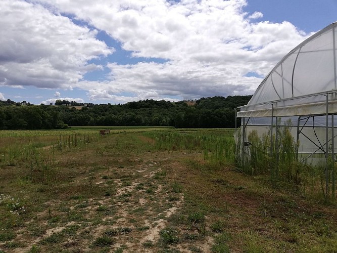 La Ferme des Luys en béarn - tourisme nord béarn cph MST NB